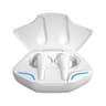 Wireless Bluetooth Earbuds with Mic and Charging Case