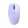 Rechargeable Dual Mode Wireless Gaming Mouse with Adjustable DPI