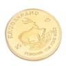 Premium Paul Kruger Krugerrand Gold Coin Replica Collectible Gold Coin Collectible Decor 6