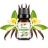 Fruit Infused Essential Oil Set For DIY Soap  Candle Making 10