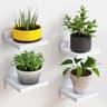 Rustic Floating Wall Shelves Wooden Mini Display Ledges for Room Decor & Small Spaces