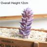 Purple Succulent Plants For Home Bedroom Living Room Bathroom  Holiday Party Bonsai Decor 6