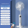Cooling Fan & Aromatherapy Diffuser with Remote Control