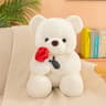 Romantic Teddy Bear With Roses Plush Gift For Her Valentine Anniversary Surprise 9