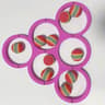 Family Pool Toss Game Floating Target Set for Pool Parties & Summer Water Fun