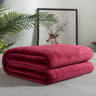 Cozy Baby Flannel Blanket Soft Baby Nap  Pet Throw For Stroller Crib Sofa  Travel 5