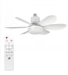 Ceiling Fan Lighting Modern Ceiling Mount Dimmable Light Smart LED Remote Control Adjustable Color  4