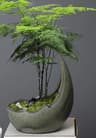 Rhinoceros Horn Ceramic Flower Pot Modern Succulent Planter Home Decoration 5