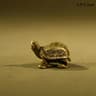 Pure Copper Turtle Statue  Vintage Brass Feng Shui Ornament 11