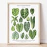 Green Botanical Leaves Canvas Art  Calming NatureInspired Prints For Modern Interiors 14