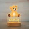 Personalized USB Acrylic Night Light  Custom Name Animal Designs For Modern Baby Nurseries Kids Bed 16