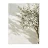 Botanical Narrative Canvas  HighDefinition Mediterranean Architectural Art 6