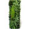 Artificial Greenery Hedge Grid 16x47 In  Simulated Milan Eucalyptus Wall  Wedding Backdrop  Garden  19