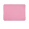 DoubleLayer Waterproof Cat Litter Trapping Mat 8