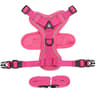 Adjustable Mesh Cat Vest Harness And Leash Set With Reflective Trim 12