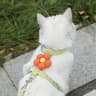 Breathable Flower Pet Harness  Leash Set 5