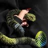 3D Printed Articulated Snake Figurine With Surprise Egg Container 13