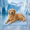 QMax 05 Summer Cooling Pet Mat 9