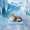 QMax 05 Summer Cooling Pet Mat 6