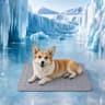 QMax 05 Summer Cooling Pet Mat 13