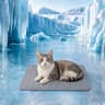QMax 05 Summer Cooling Pet Mat 12
