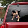 3D Cartoon Chicken Vinyl Decal  Car Window Sticker 6