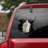 3D Cartoon Chicken Vinyl Decal  Car Window Sticker 10