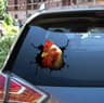 3D Cartoon Chicken Vinyl Decal  Car Window Sticker 13