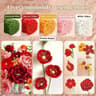 Chenille Stems 118 In 30 Cm Craft Pipe Cleaners 7
