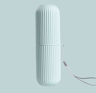 Portable Toothbrush Storage Case Travel Toothpaste Holder Organizer 6