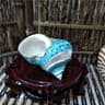 Natural Hermit Crab Shells Coastal Vase Filler Beach Home Decor 7