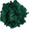 Transform Ordinary Spaces Into Calming Green Sanctuaries With This Soft Lifelike Reindeer Moss That 12