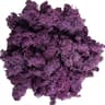 Transform Ordinary Spaces Into Calming Green Sanctuaries With This Soft Lifelike Reindeer Moss That 16