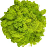 Transform Ordinary Spaces Into Calming Green Sanctuaries With This Soft Lifelike Reindeer Moss That 21