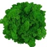 Transform Ordinary Spaces Into Calming Green Sanctuaries With This Soft Lifelike Reindeer Moss That 22