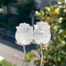 CrystalBloom Rose Quartz Flower Ornament Elegant Gift Decor 8