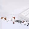 Cute Cat Monitor Decor Kawaii Screen Edge Figurines Desk Companion Set 7