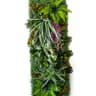 Artificial Boxwood Hedge Wall Panel Greenery Backdrop Garden Decor 15