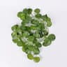 LED Ivy Garland String Lights Artificial Greenery Wall Decor 9