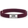 Personalized Cat Collar With Custom Name Tag 9