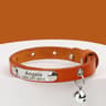 EngraveSafe Cat Collar 9