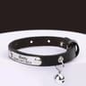 EngraveSafe Cat Collar 6