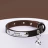 EngraveSafe Cat Collar 7