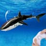 Remote Control Shark Toy With Water Spray  Electric Swimming Whale  Dolphin Bath And Pool Toy For K 11
