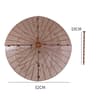 CatProof Plant Pot Soil Guard With Fixing Nails 12