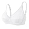 Sheer Lace Plus Size Underwire Bra For Women BF Cup 8