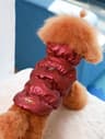 CozyShield 3 Layer Dog Jacket For Small And Medium Dogs 11