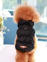CozyShield 3 Layer Dog Jacket For Small And Medium Dogs 7