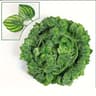 Artificial Ivy Leaf Garland Vine Decor UV Resistant Faux Hanging Plant 10