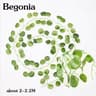 Artificial Rattan Hanging Plant Basket Ivy Vine Greenery Wall And Garden Decor 12
